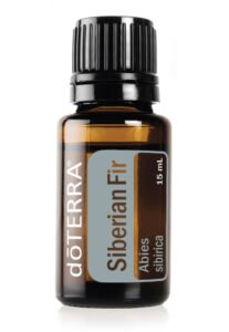 SIBERIAN FIR