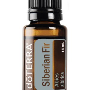 SIBERIAN FIR