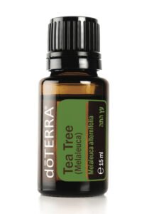 Melaleuca