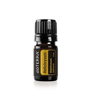 Helichrysum