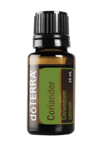 Coriander