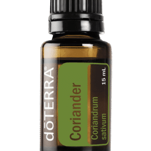 Coriander
