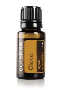 CLOVE