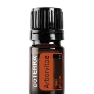 Arborvitae